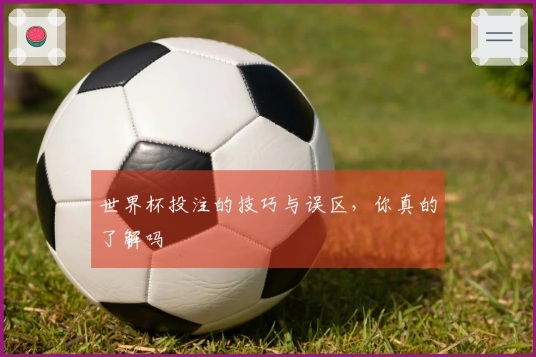 世界杯投注的技巧与误区，你真的了解吗