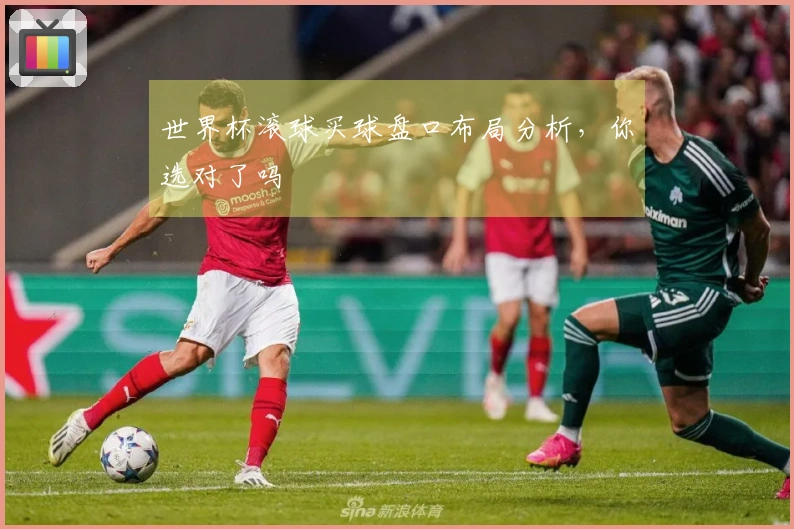 世界杯滚球买球盘口布局分析，你选对了吗